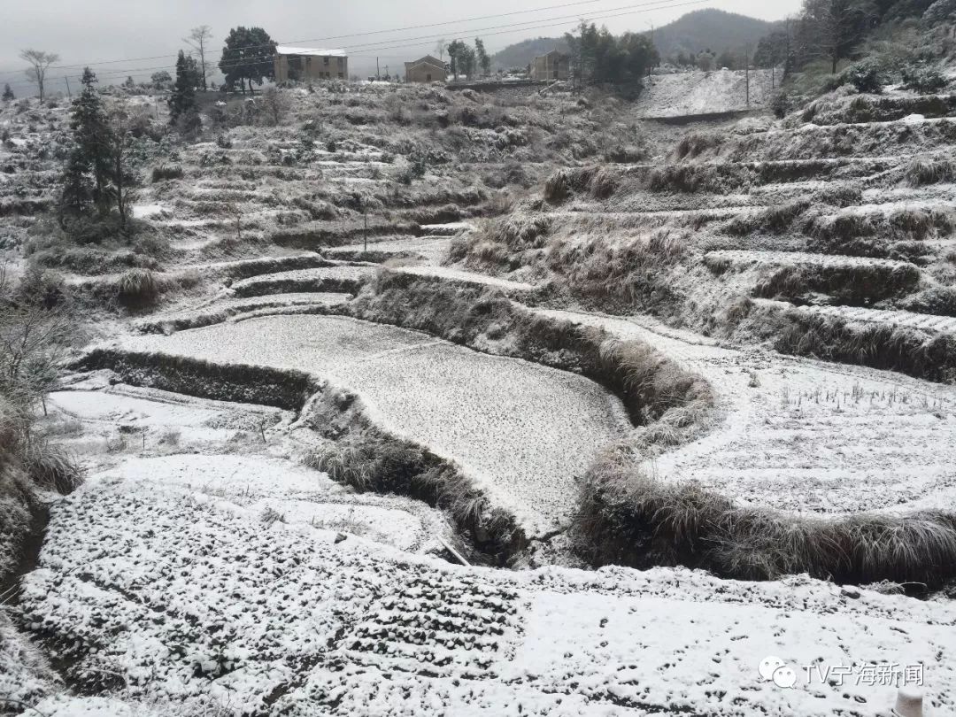 (东海云顶 供图:林海竹原(深甽 昨夜飘雪 供图:热心网友)这波雪景