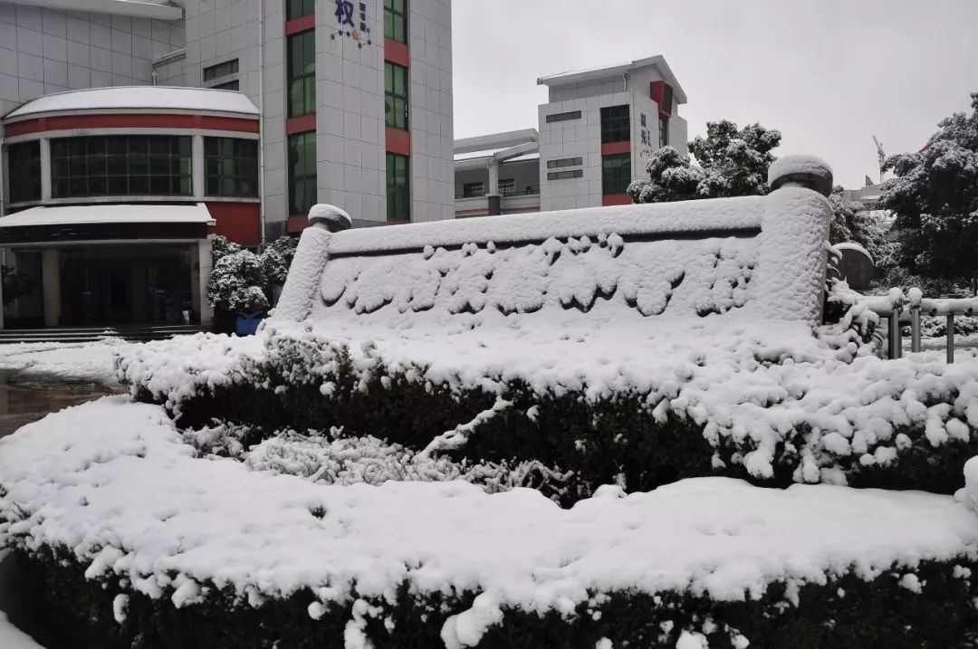 今年这场认真的雪,扮美了整个萧山学校,快来看看有没有你校的身影