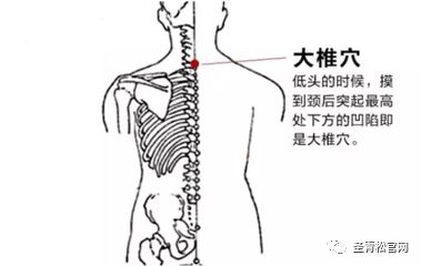 圣青松中医微课堂之大椎穴