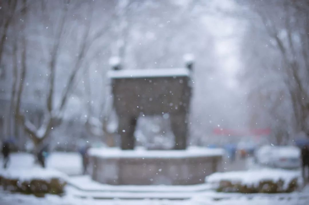 光影南农恰遇霜雪霁闲赏南农冬