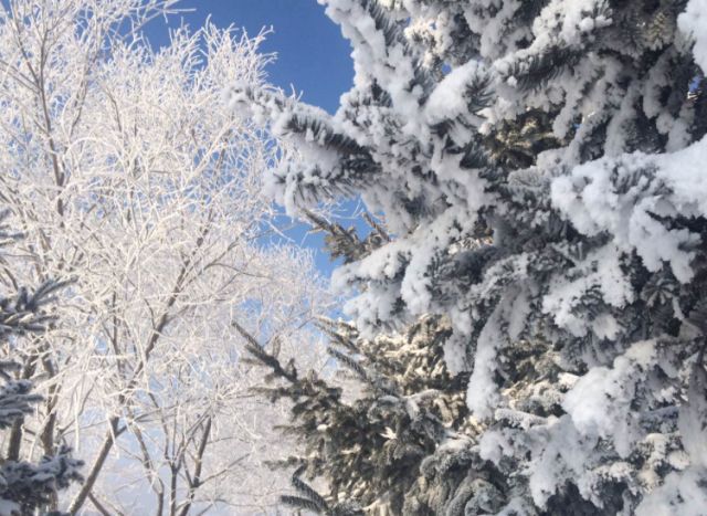 霜雪未归人简谱_深宫未归人图片