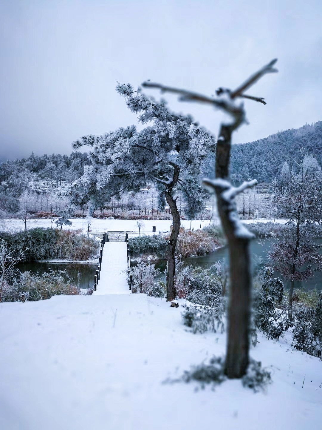 雪景怎么穿搭_雪景图片唯美