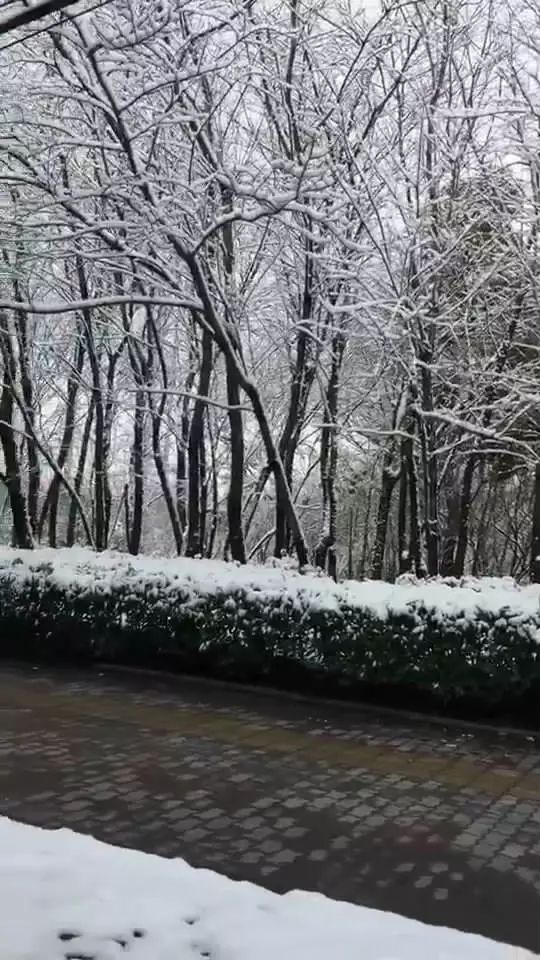 毕节这些地方下雪了!