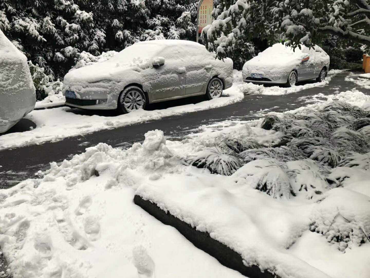 今天全国的朋友都在盼望大雪,这些雪景加蛙儿子随便一