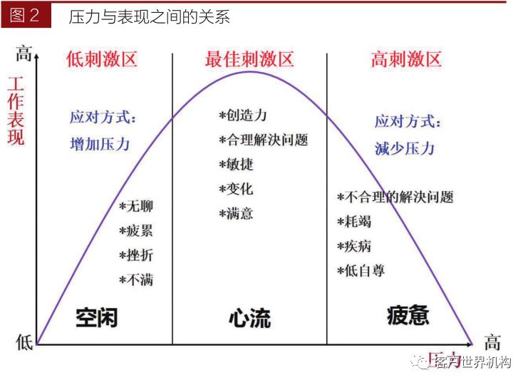 从大脑结构认识情绪与压力