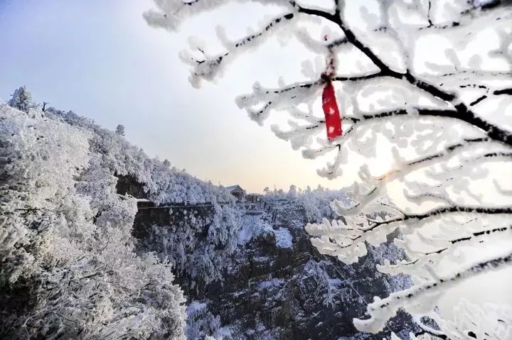 不出远门也能看雪了!雪后的张家界惊艳了全世界!