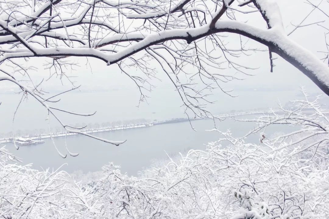 请假!我想去西湖看断桥残雪!