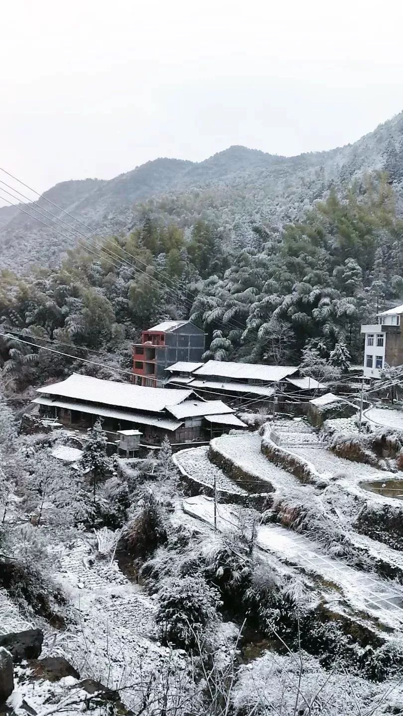 永嘉县巽宅镇雪景图永嘉县云岭乡九龙山雪景图永嘉县岩坦镇东亚山庄