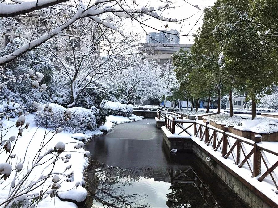 辅仁看点丨雪后初霁的辅仁,校园雪景升级,校园暖心