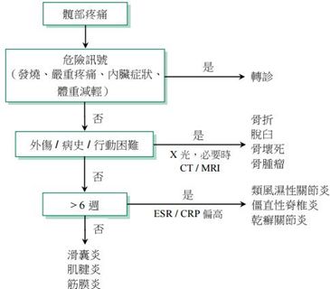 诊断流程图