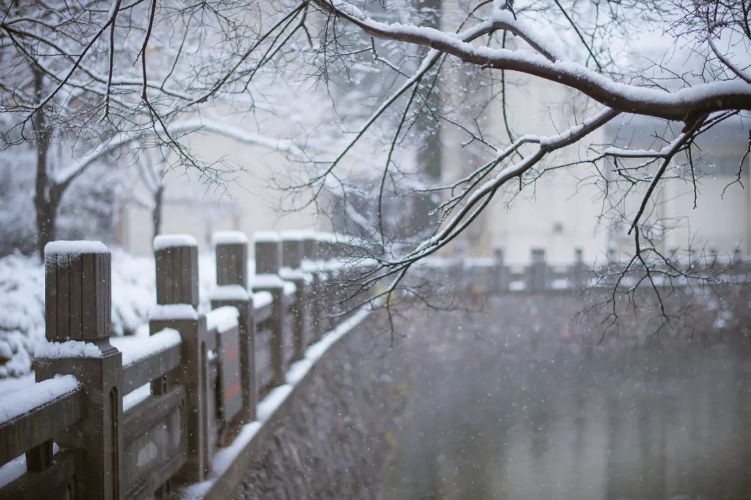 光影南农 恰遇霜雪霁,闲赏南农冬