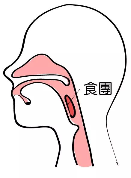 5.食道期 食物进入食道,被送到胃的阶段.