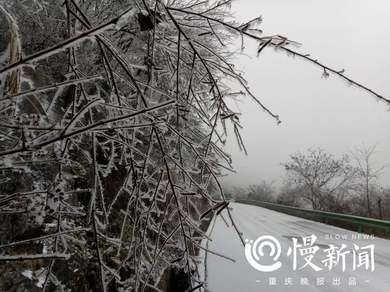 下雪了!这些区县雪景已刷爆重庆人朋友圈!