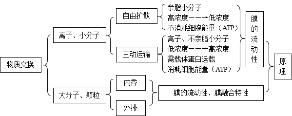 1.12线粒体和叶绿体共同点