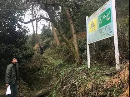 大佳何村人口_大佳何团联村