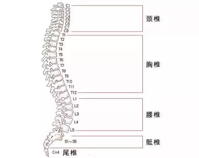 这些不适暗示脊椎出问题了!3大"杀手级坐姿"是罪魁祸首