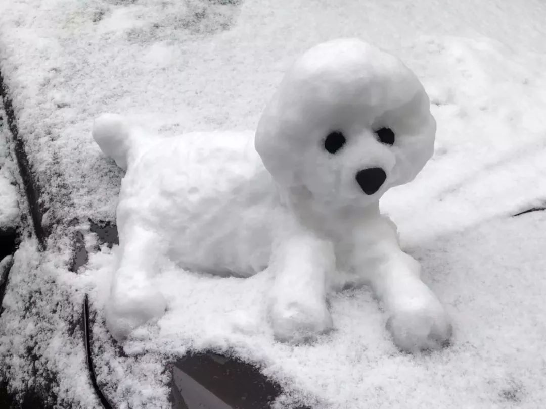 堆雪人也是狗狗主题希望大家不要"汪汪汪"而是"旺旺旺"这个可能要年度