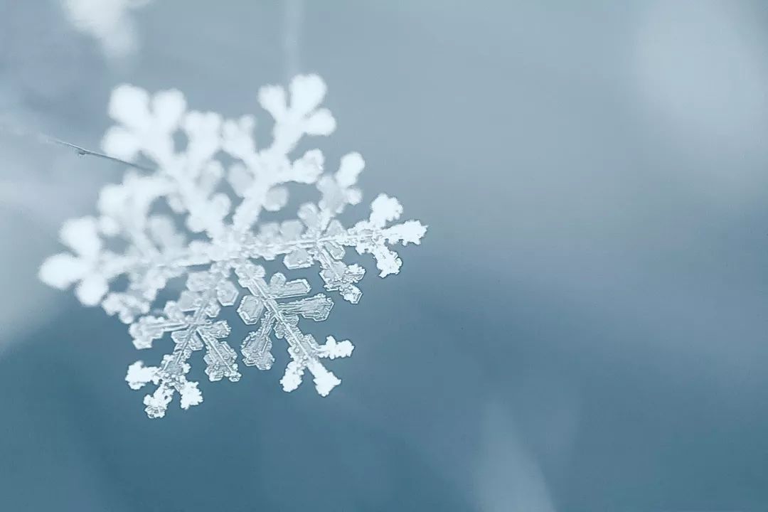 《雪景图片征集》,初雪时分,最宜拍照!