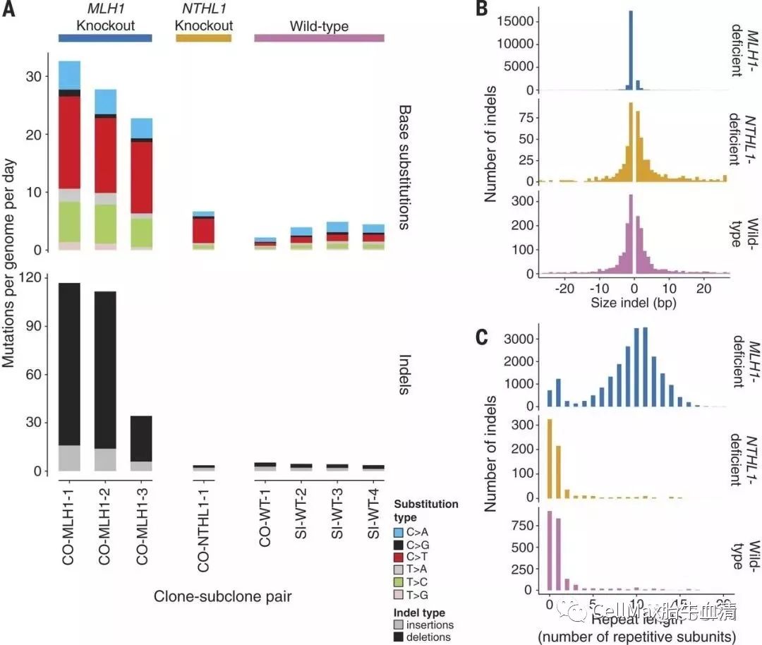 (图片来源:science, doi: 10.1126/science.aao3130)