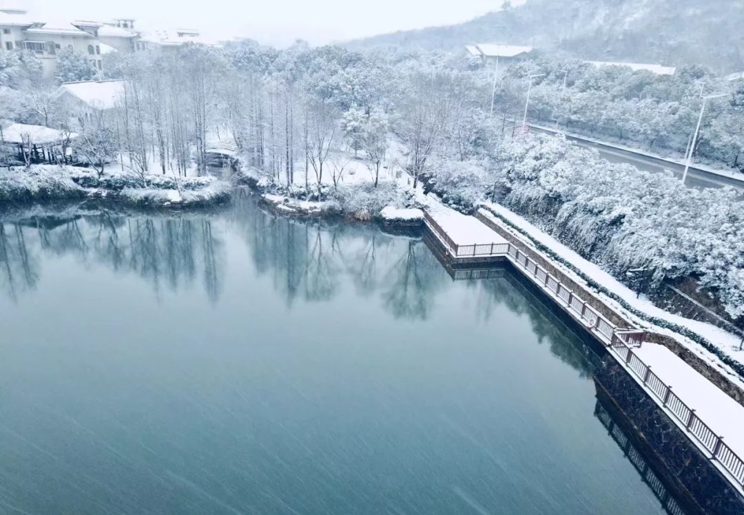 『冬日美景』下雪后的湖州美到让人惊叹,几年难得一见!