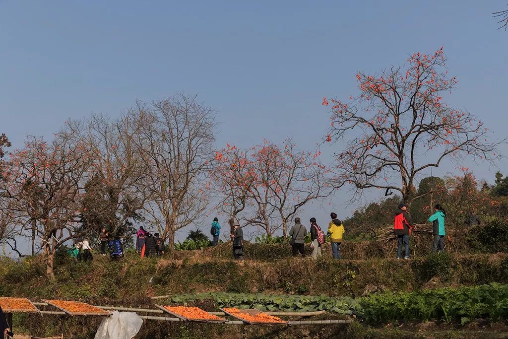 温州永嘉经济总量_温州永嘉东蒙山地图