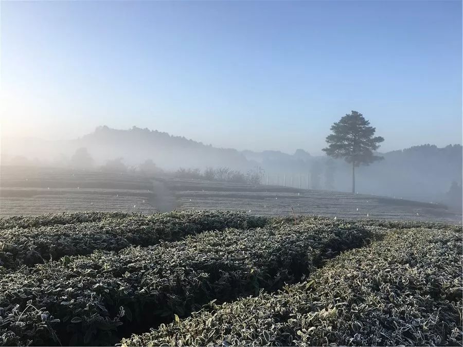 开阳县的gdp是多少_贵阳的十个县市区, 2017年成绩已出, 你家乡呢