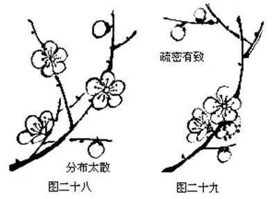 花卉四君子之一梅花的各种图文教程堪称史上最全