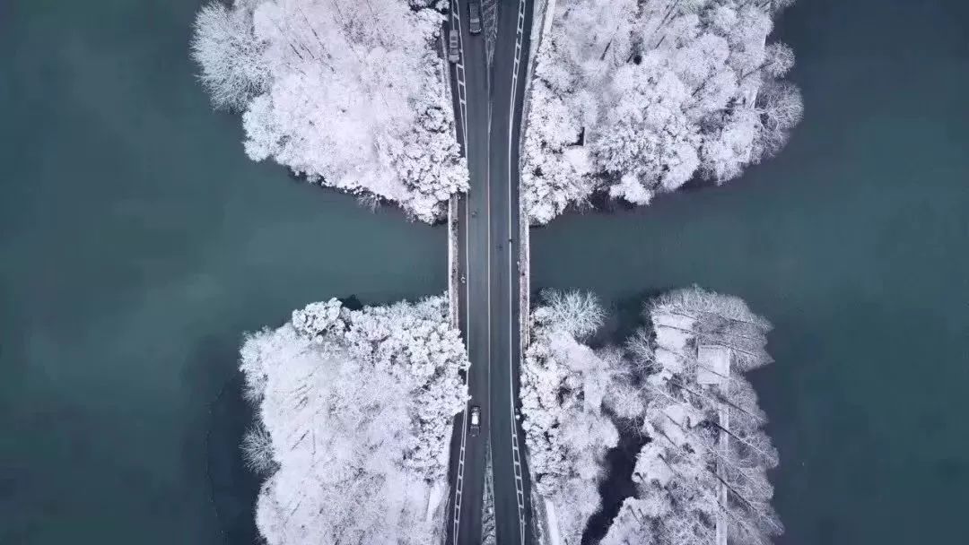 最美不过西湖雪！下过雪的杭州宛若仙境，美到令人窒息...