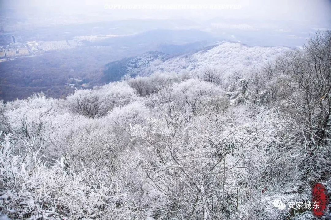 雪中金陵,醉美不过紫金山