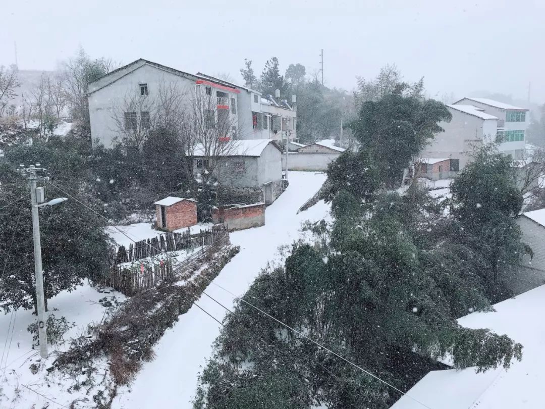 暴雪天气,美丽雪景 这场大雪把英山 打扮得银装素裹,分外妖娆