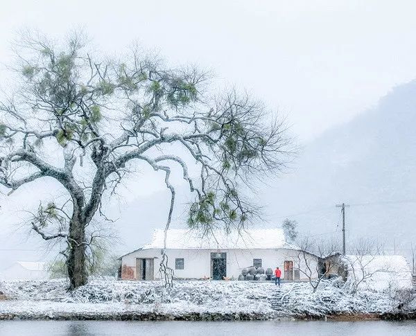 小伙伴们期待已久的雪终于下来了,婺源美得不像话了!