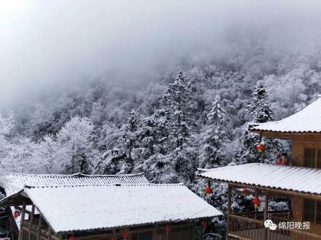 绵阳雪景照大放送舔屏模式开启一大波雪景袭来