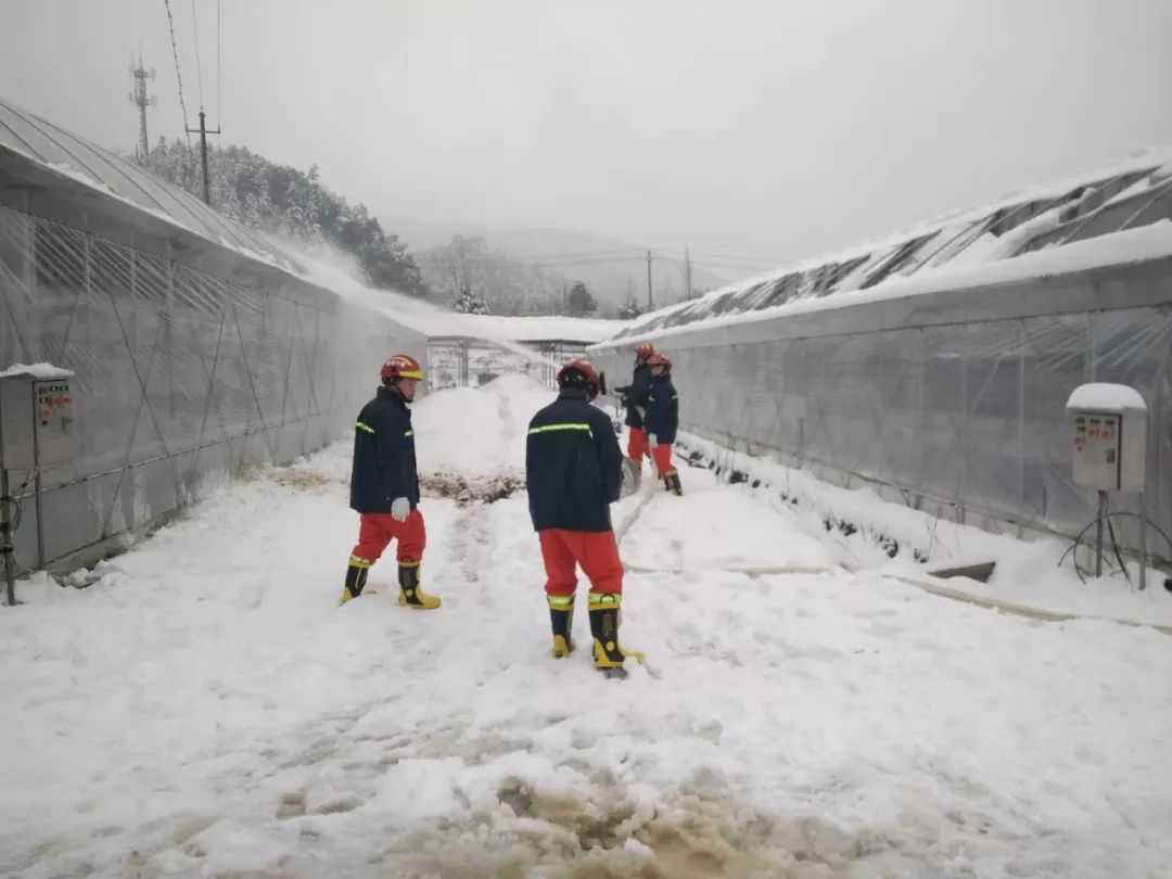 莫干山镇消防综合应急救援队在云田农庄给大棚除雪