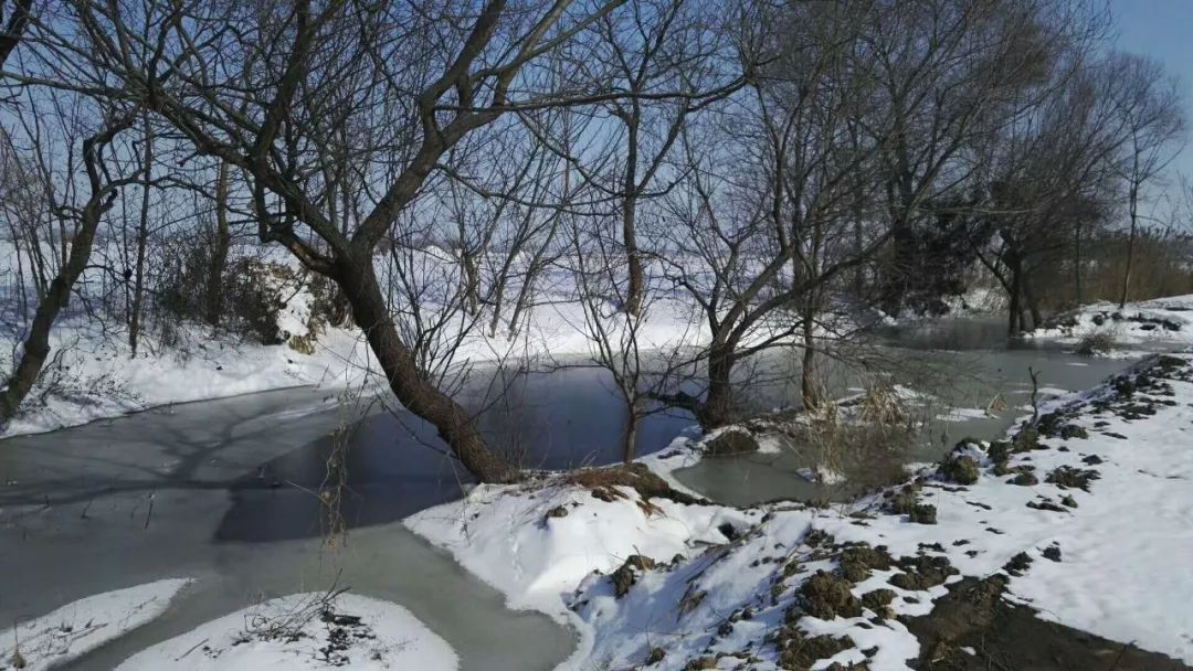 乡村冬景 杨铭章摄 当亳州雪景 无人机 vr 是一种怎样的美呢?