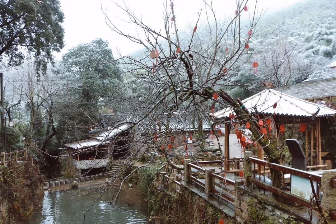 黄岩首个省级休闲旅游示范村,雪中别有一番神韵