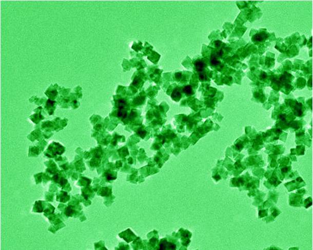 【科学摄影】纳米生物结构