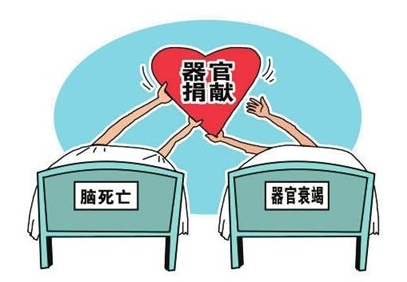 无偿捐赠算gdp吗_实时