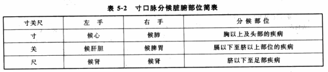 6,六部脉分属脏腑的原则六部脉分属一定的脏腑,故可以诊察相应脏腑的