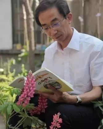 临沂作家的童话被编入小学语文教材!为鲁冰老师点赞