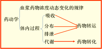 简称药动学或药代学,研究机体对药物的作用,药物在体内吸收,分布,代谢