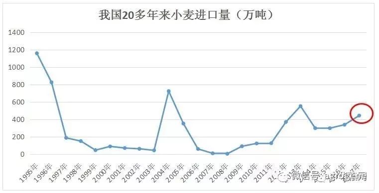 我国以小麦为食的人口_小麦简笔画