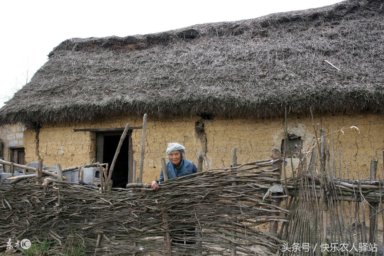 半岛体育农村老人12张图不同的生活总有一张能让你掉泪(图7)