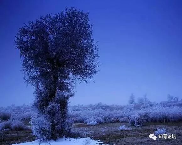 降央卓玛父亲的草原母亲的河简谱_望草原降央卓玛简谱(3)