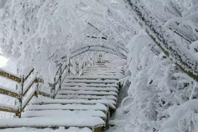 巴中人都在晒"雪照",其实巴中最美的雪景却在这里