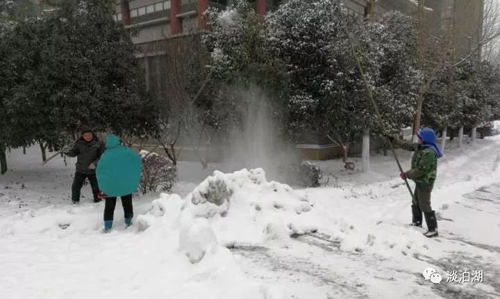 寒冷清除积雪 默默付出只为师生们出行安全 将暖流注入这个凛冽的冬天