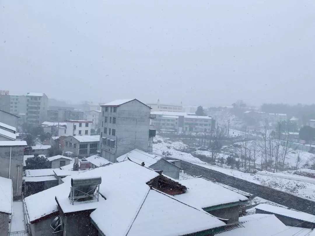 暴雪天气,美丽雪景 这场大雪把英山 打扮得银装素裹,分外妖娆