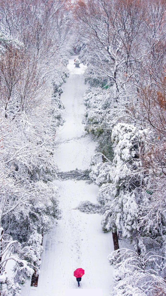 南方人和北方人都在晒雪景,北京人却要哭了!