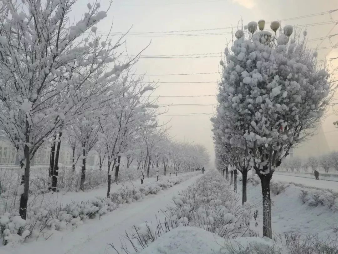 最美的不是下雪天,是曾与你共同坚守的信念