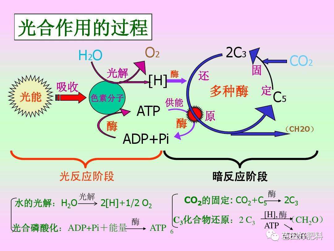 增强作物光合作用