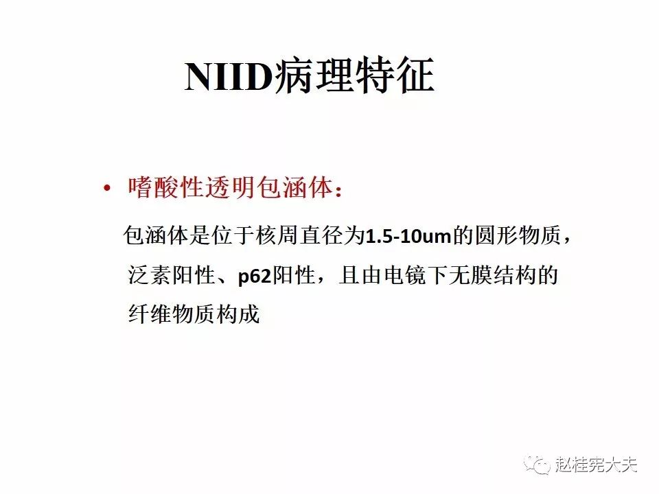 神经元核内包涵体病(niid)最新更新内容!